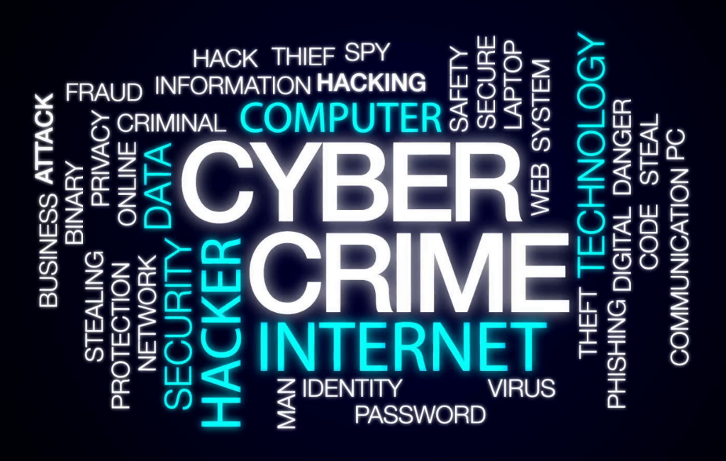 data diddling in cybercrime
